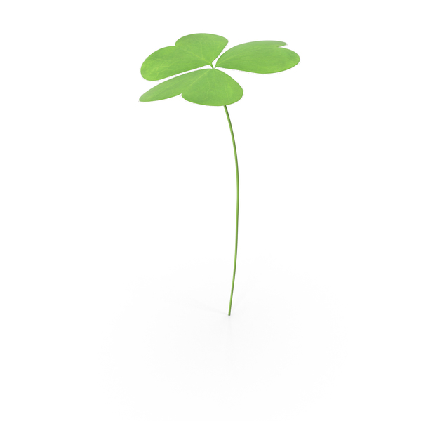 Clover PNG & PSD Images