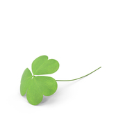 Clover PNG & PSD Images