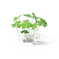 Clovers PNG & PSD Images