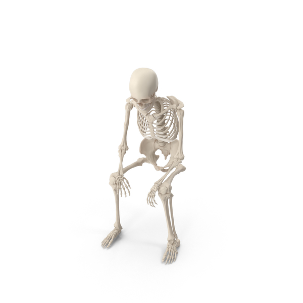 Skeleton Sitting PNG & PSD Images