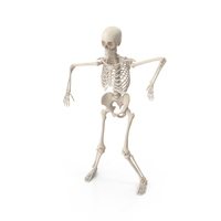 Skeleton Robot PNG & PSD Images
