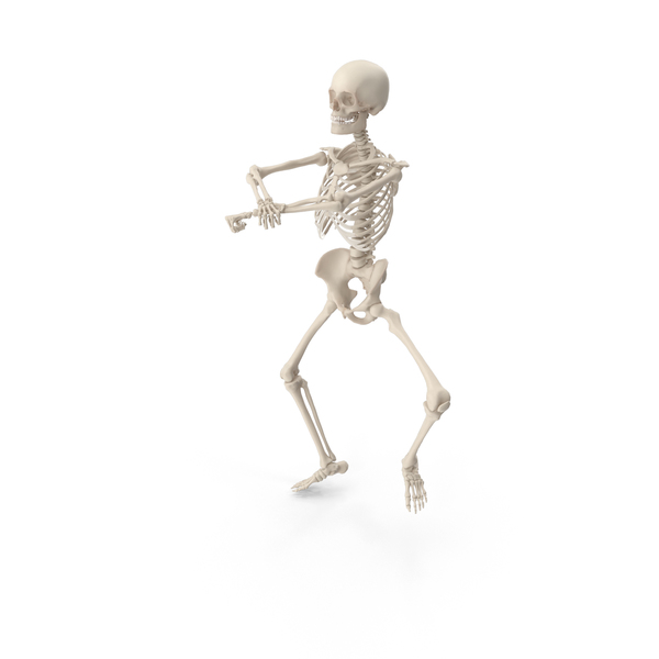 Skeleton Gangnam Style PNG & PSD Images