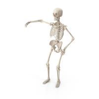 Skeleton Arm Around Shoulder PNG & PSD Images