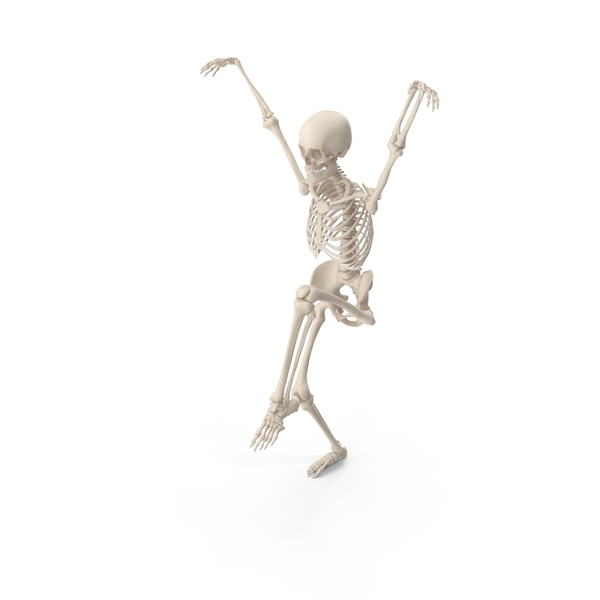 Skeleton Karate Kid Crane PNG & PSD Images