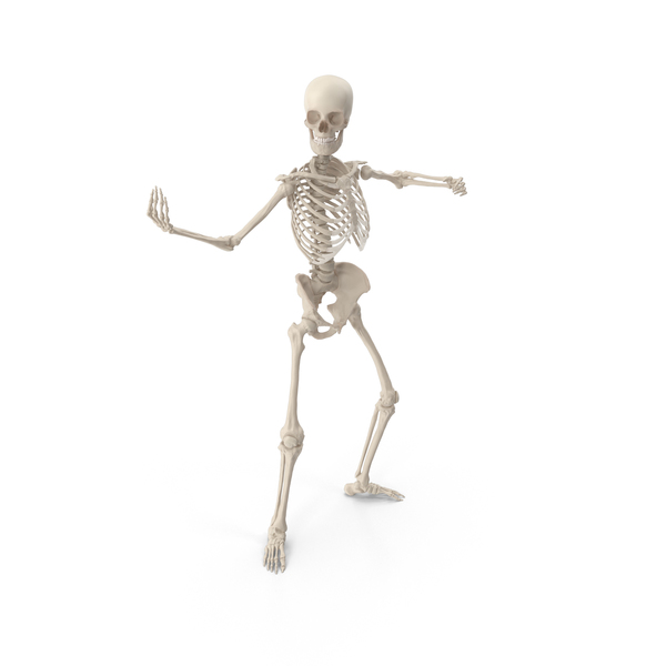 Skeleton Bring It PNG & PSD Images