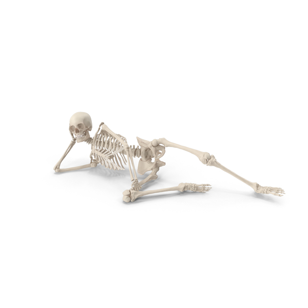 Skeleton Burt Reynolds PNG & PSD Images