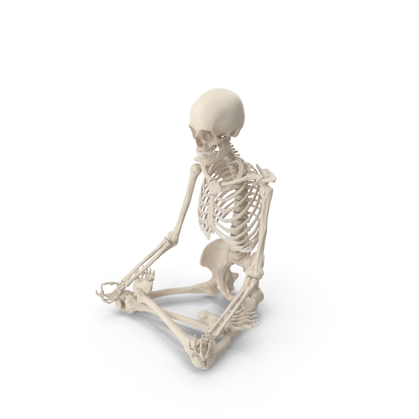 Skeleton Lotus Pose PNG & PSD Images