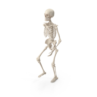 Skeleton Climbing Stairs PNG & PSD Images