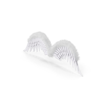 Angel Wings PNG & PSD Images