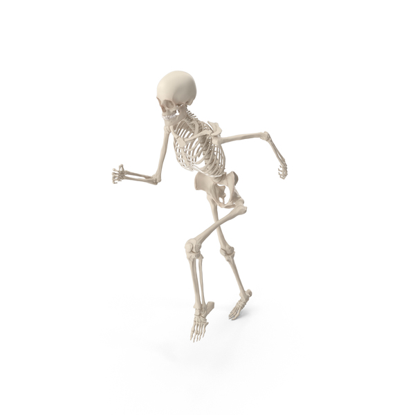 Skeleton Running PNG & PSD Images