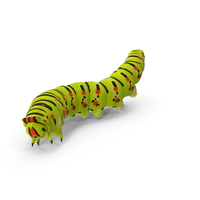 Caterpillar PNG & PSD Images