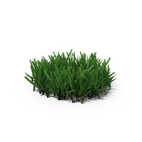 Grass PNG & PSD Images
