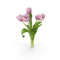 Tulips PNG & PSD Images