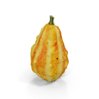 Gourd PNG & PSD Images