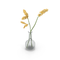 Yellow Flowers in Vase PNG & PSD Images