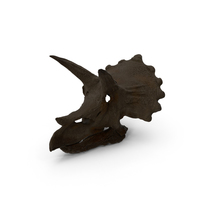 Triceratops Skull PNG & PSD Images