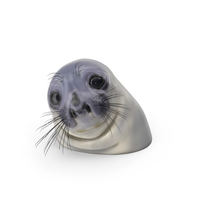 Awkward Moment Seal PNG & PSD Images