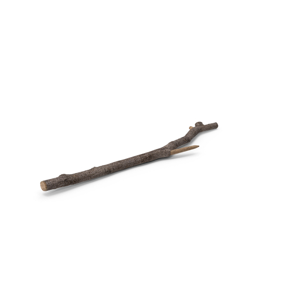 Twig PNG & PSD Images