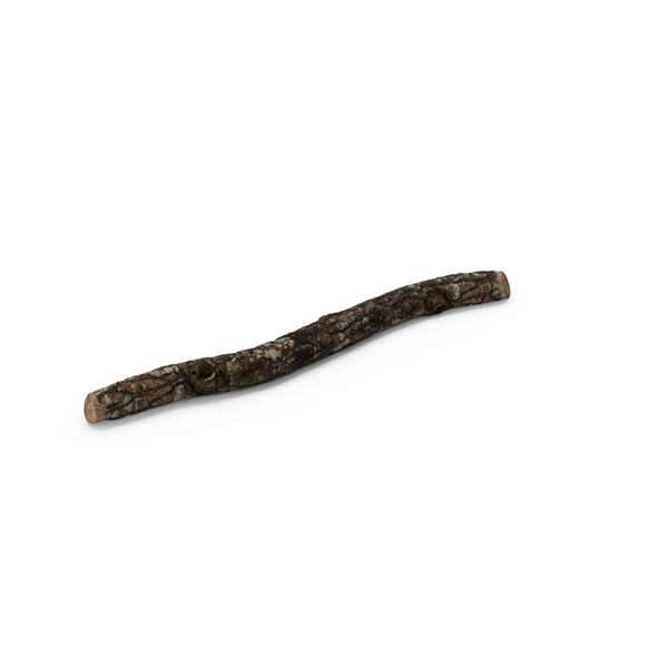 Twig PNG & PSD Images