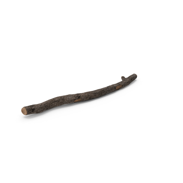 Twig PNG & PSD Images