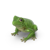 Frog Bath Toy PNG Images & PSDs for Download