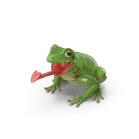 Australian Green Tree Frog PNG & PSD Images