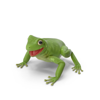 Australian Green Tree Frog PNG & PSD Images