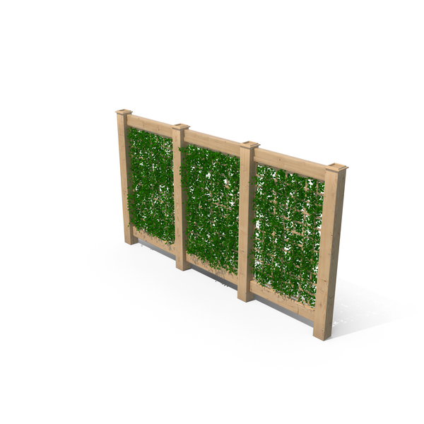 Trellis PNG & PSD Images