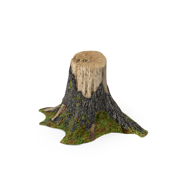 Tree Stump PNG & PSD Images