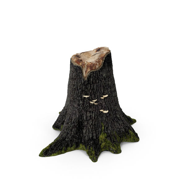 Tree Stump PNG & PSD Images