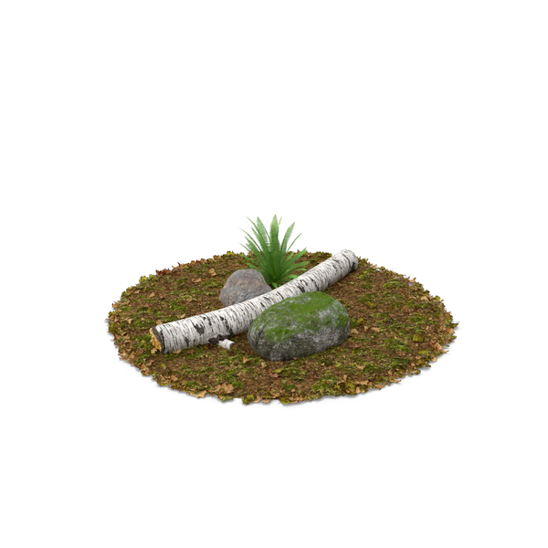 Log Fern and Rock PNG & PSD Images