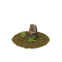 Stump with Ferns PNG & PSD Images