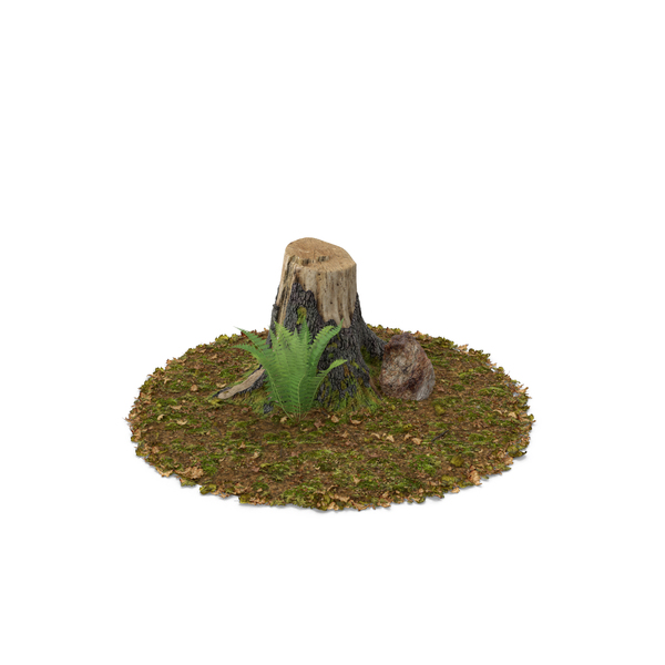 Stump with Rock and Fern PNG & PSD Images