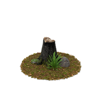 Stump Fern and  Rock PNG & PSD Images