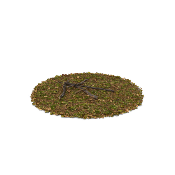 Twigs and Leaves PNG & PSD Images