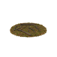 Twigs and Leaves PNG & PSD Images