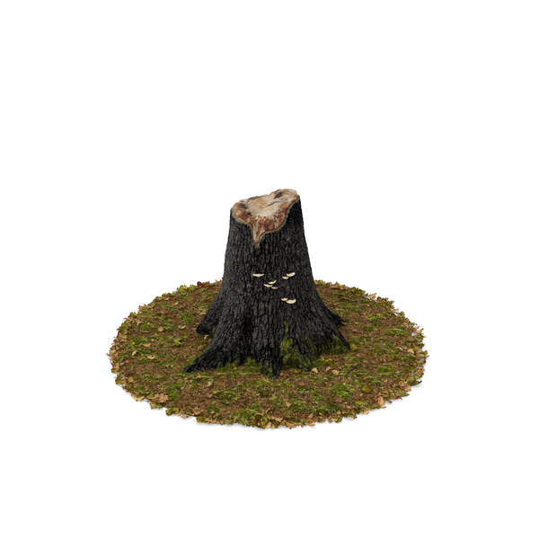 Tree Stump PNG & PSD Images