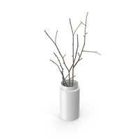 Vase with Branches PNG & PSD Images