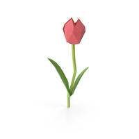 Low Poly Tulip PNG & PSD Images