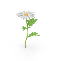 Low Poly Daisy PNG & PSD Images