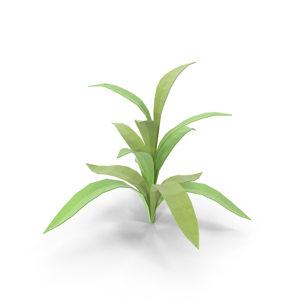 Low Poly Tropical Plant PNG & PSD Images