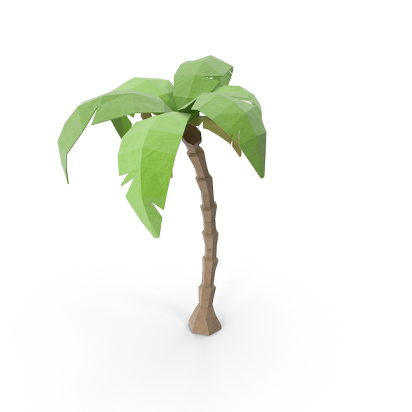 Low Poly Coconut Tree PNG & PSD Images