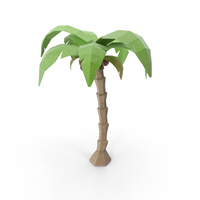 低聚椰子树PNG和PSD图像