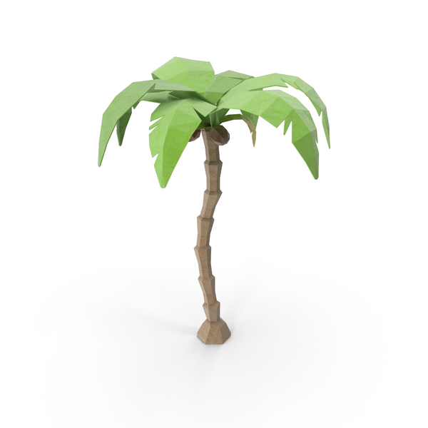 Low Poly Coconut Tree PNG & PSD Images