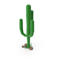 Cactus with Rocks PNG & PSD Images
