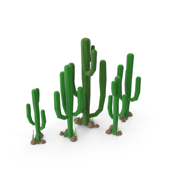 Cactus Group with Rocks PNG & PSD Images