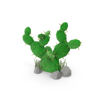 Cactus with Rocks PNG & PSD Images