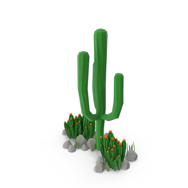 Cacti and Rocks PNG & PSD Images