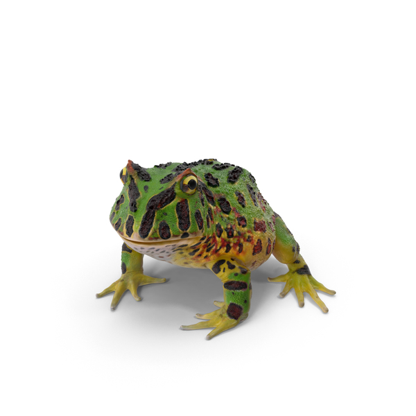 Pacman Frog PNG & PSD Images