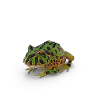 Pacman Frog PNG和PSD图像